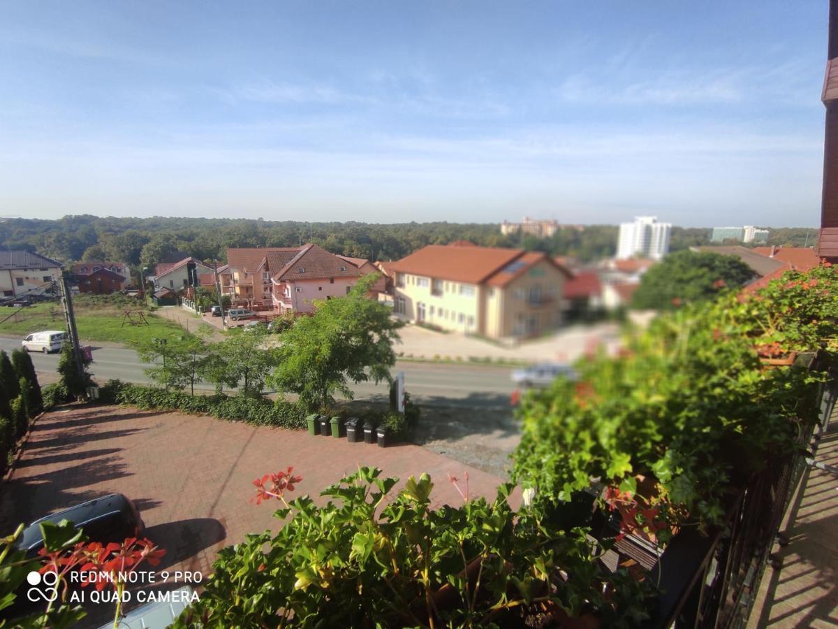 Tomis Pensiune Băile Felix Exterior foto